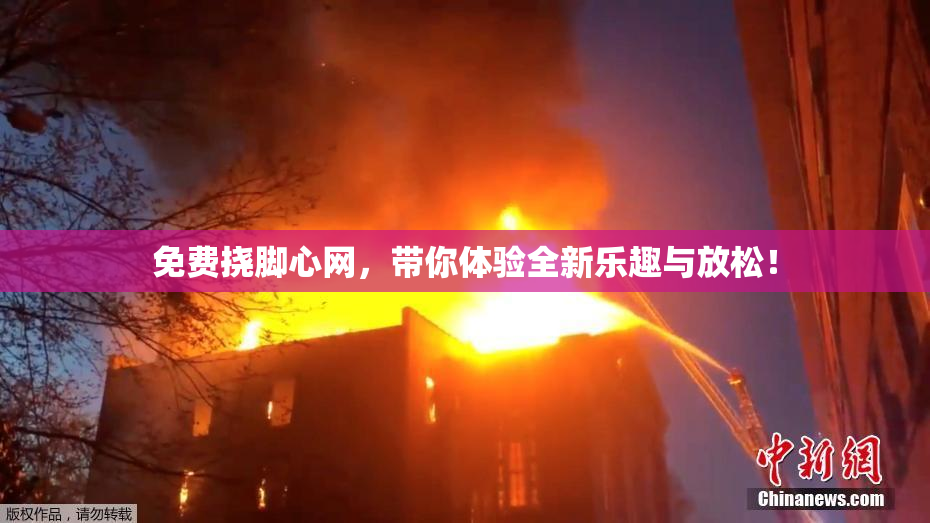 免费挠脚心网，带你体验全新乐趣与放松！
