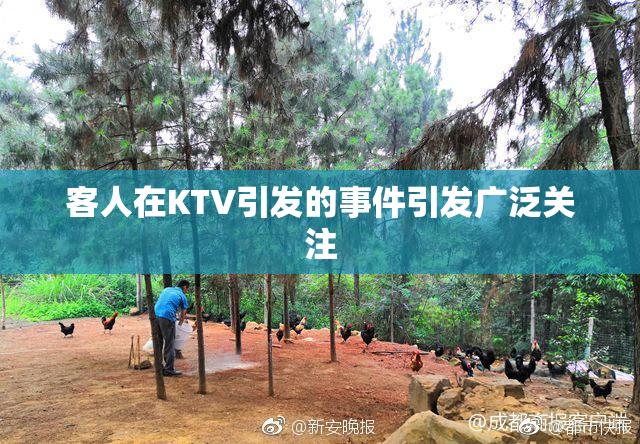 客人在KTV引发的事件引发广泛关注