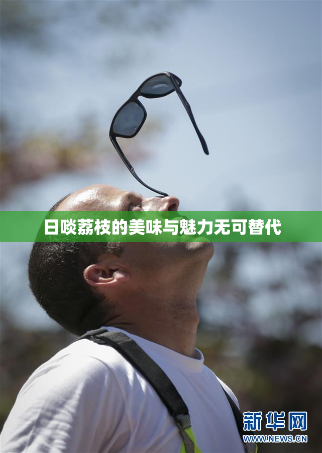 日啖荔枝的美味与魅力无可替代