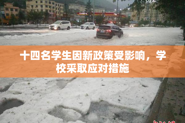 十四名学生因新政策受影响，学校采取应对措施