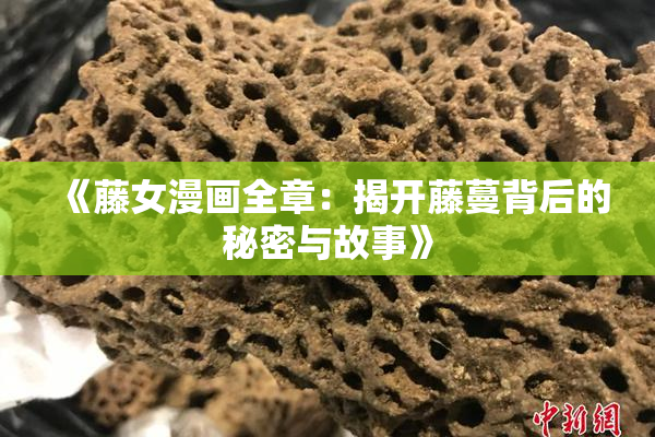 《藤女漫画全章：揭开藤蔓背后的秘密与故事》