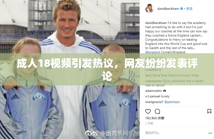 成人18视频引发热议，网友纷纷发表评论