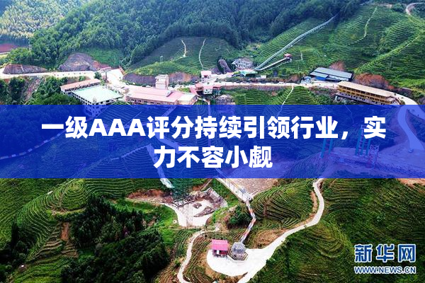 一级AAA评分持续引领行业，实力不容小觑