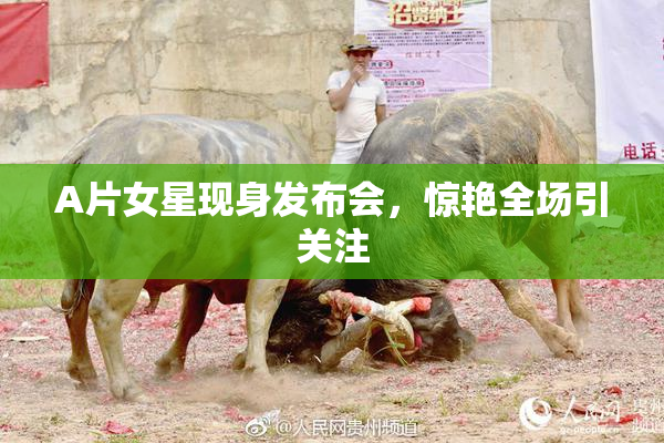 A片女星现身发布会，惊艳全场引关注