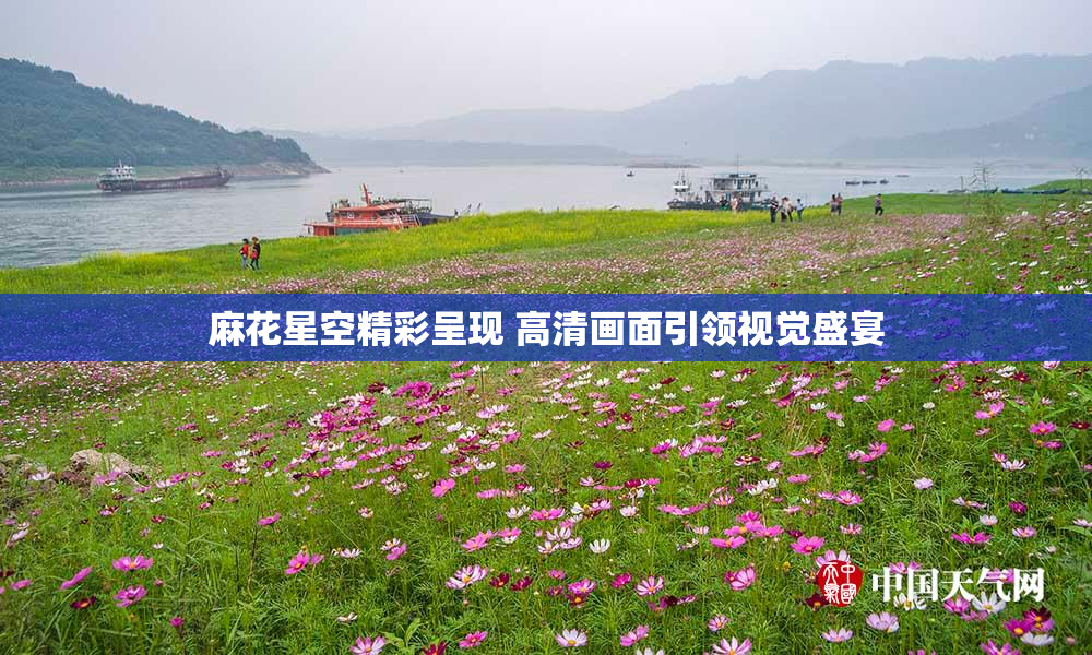 麻花星空精彩呈现 高清画面引领视觉盛宴