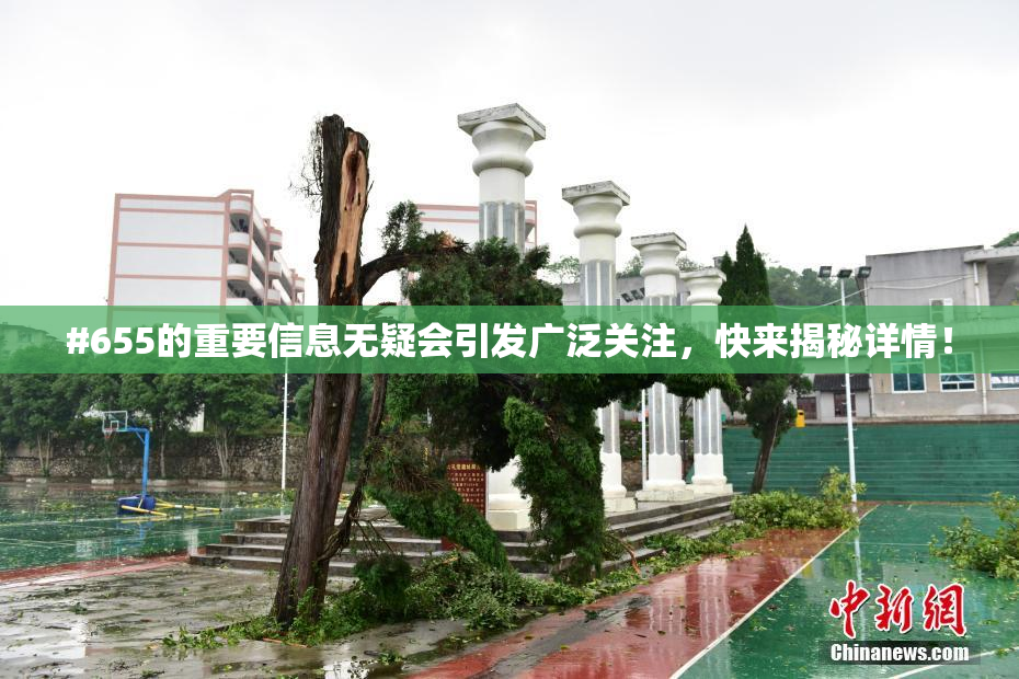#655的重要信息无疑会引发广泛关注，快来揭秘详情！