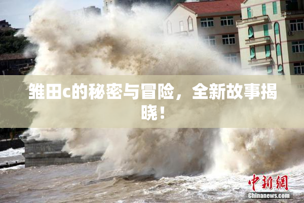雏田c的秘密与冒险，全新故事揭晓！