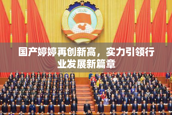 国产婷婷再创新高，实力引领行业发展新篇章