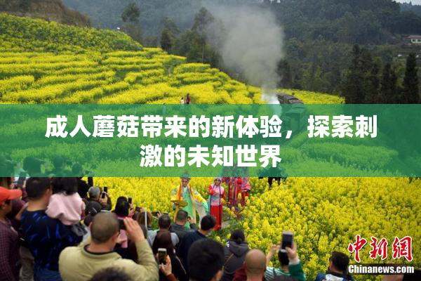 成人蘑菇带来的新体验，探索刺激的未知世界