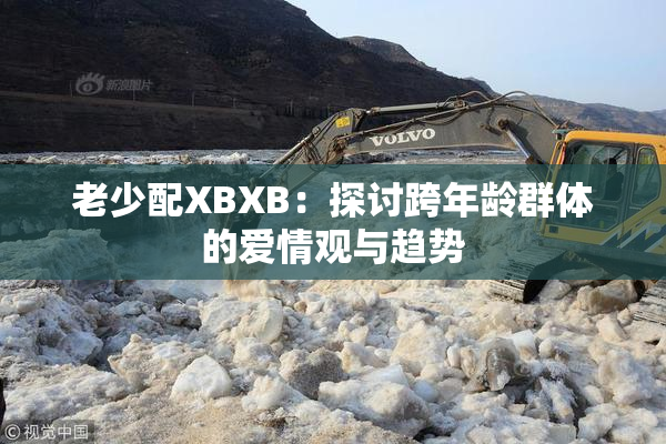 老少配XBXB：探讨跨年龄群体的爱情观与趋势