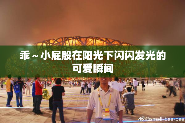 乖～小屁股在阳光下闪闪发光的可爱瞬间
