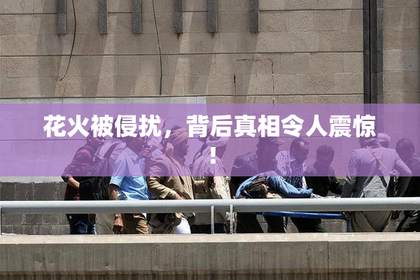 花火被侵扰，背后真相令人震惊！