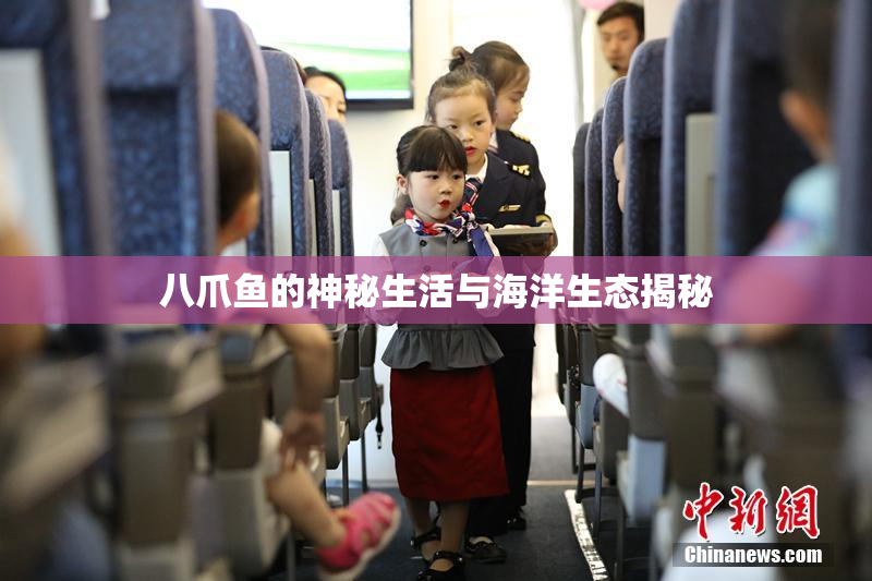 八爪鱼的神秘生活与海洋生态揭秘