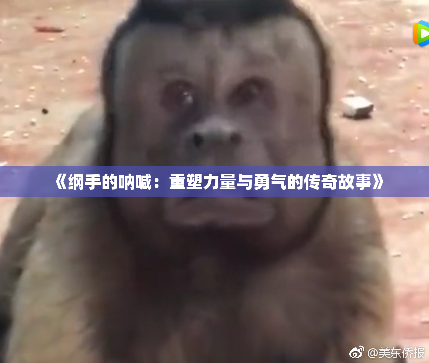《纲手的呐喊：重塑力量与勇气的传奇故事》
