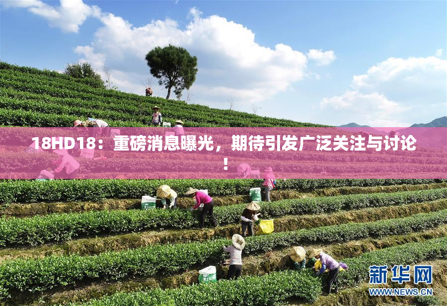 18HD18：重磅消息曝光，期待引发广泛关注与讨论！