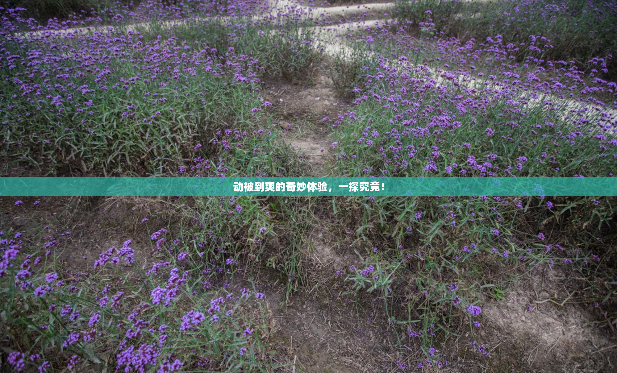 动被到爽的奇妙体验，一探究竟！