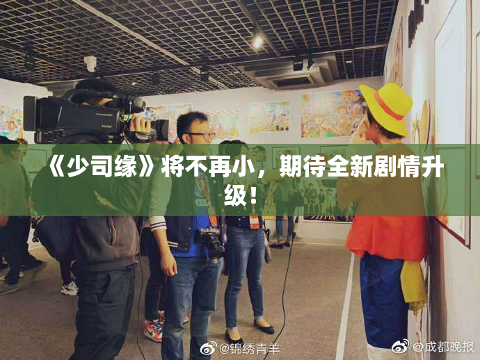 《少司缘》将不再小，期待全新剧情升级！