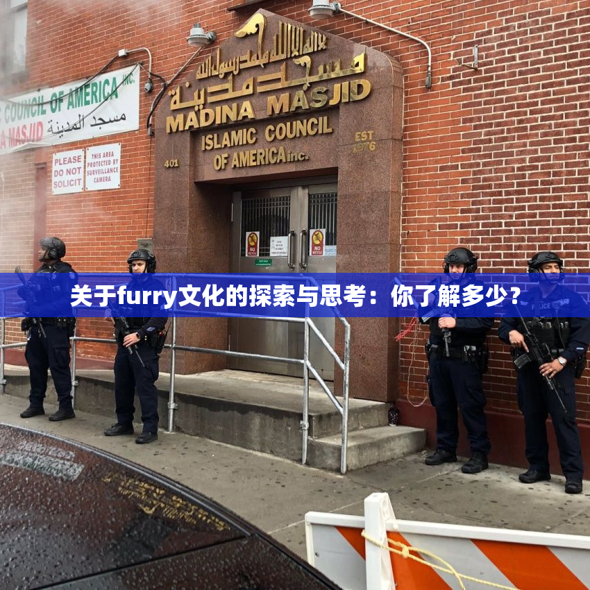 关于furry文化的探索与思考：你了解多少？