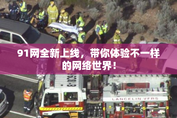91网全新上线，带你体验不一样的网络世界！