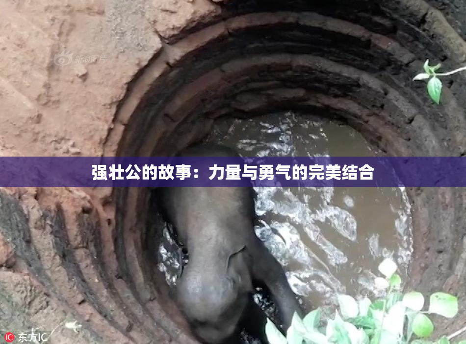 强壮公的故事：力量与勇气的完美结合