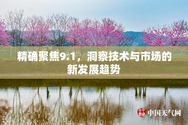 精确聚焦9.1，洞察技术与市场的新发展趋势
