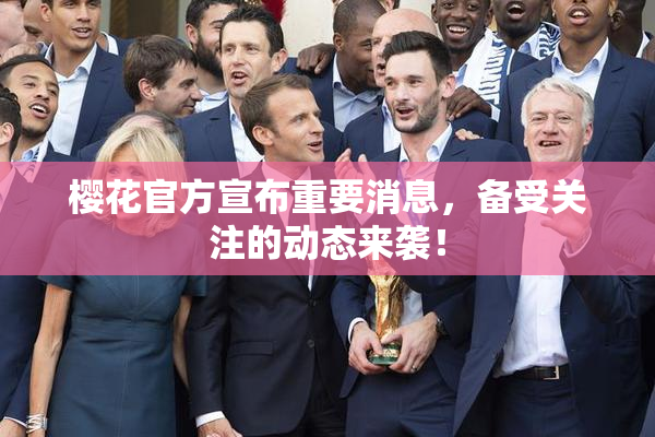 樱花官方宣布重要消息，备受关注的动态来袭！
