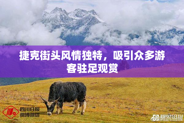 捷克街头风情独特，吸引众多游客驻足观赏
