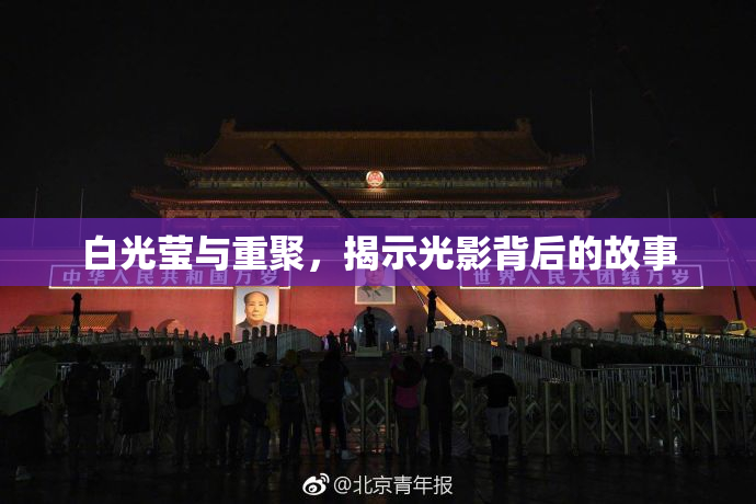 白光莹与重聚，揭示光影背后的故事