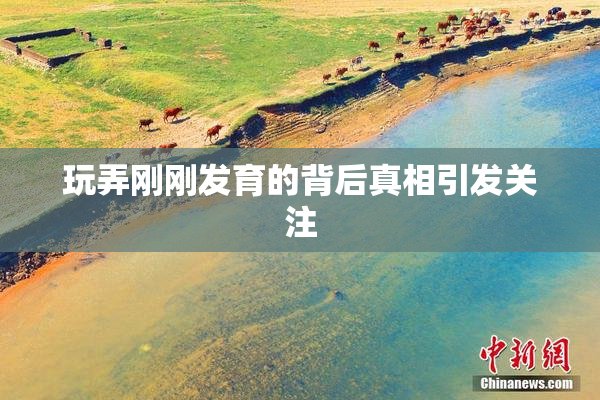 玩弄刚刚发育的背后真相引发关注