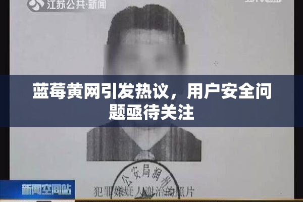 蓝莓黄网引发热议，用户安全问题亟待关注