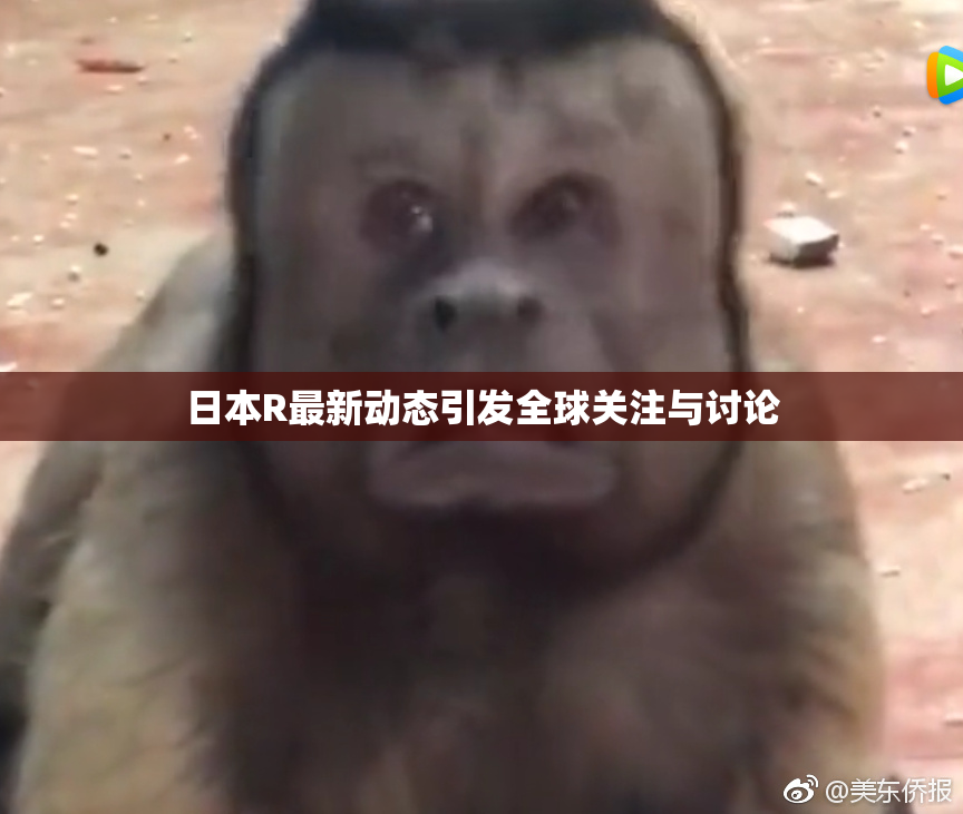 日本R最新动态引发全球关注与讨论
