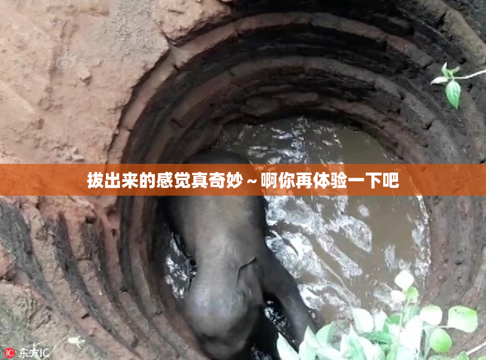 拔出来的感觉真奇妙～啊你再体验一下吧