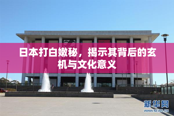 日本打白嫩秘，揭示其背后的玄机与文化意义