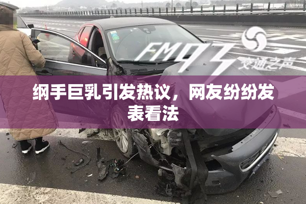 纲手巨乳引发热议，网友纷纷发表看法