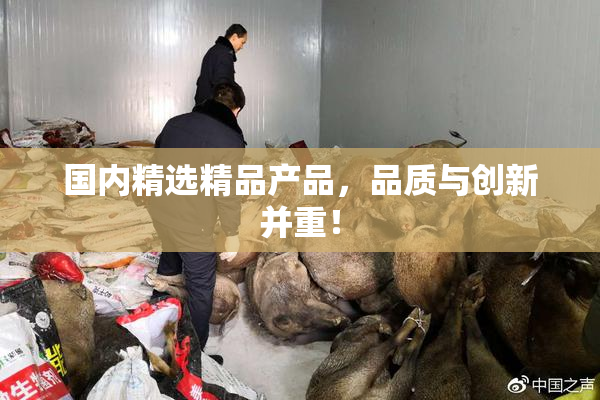 国内精选精品产品，品质与创新并重！