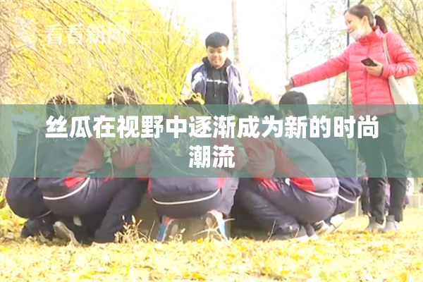 丝瓜在视野中逐渐成为新的时尚潮流
