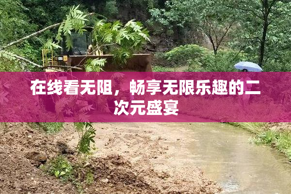 在线看无阻，畅享无限乐趣的二次元盛宴