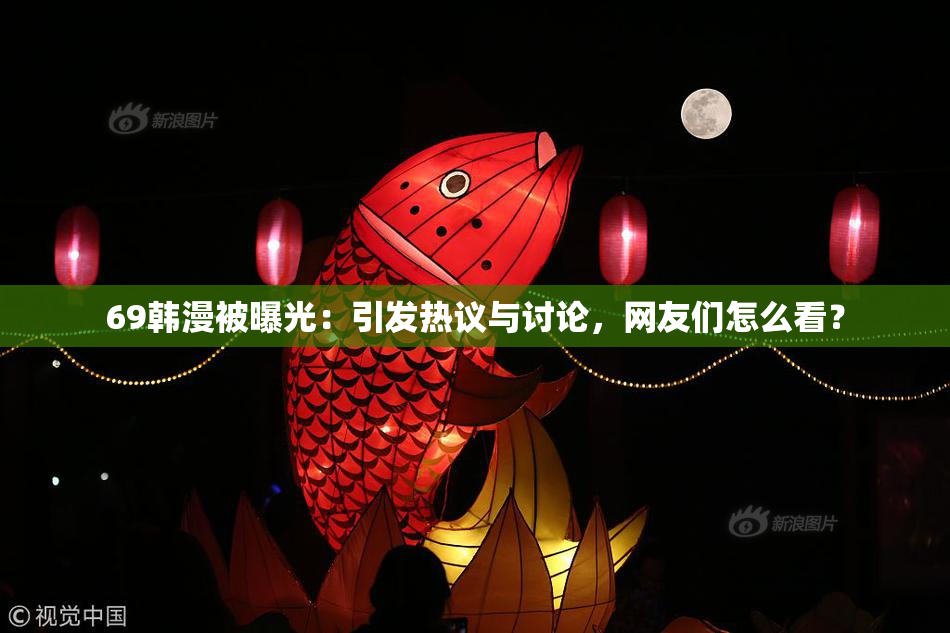 69韩漫被曝光：引发热议与讨论，网友们怎么看？