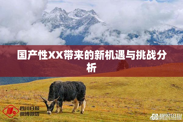国产性XX带来的新机遇与挑战分析