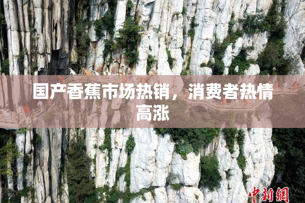国产香蕉市场热销，消费者热情高涨