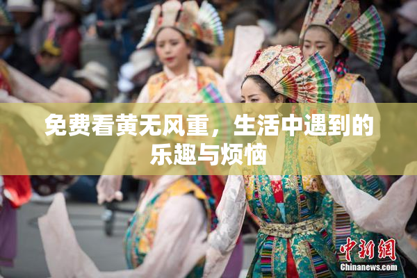 免费看黄无风重，生活中遇到的乐趣与烦恼