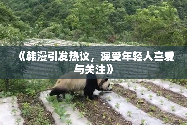 《韩漫引发热议，深受年轻人喜爱与关注》