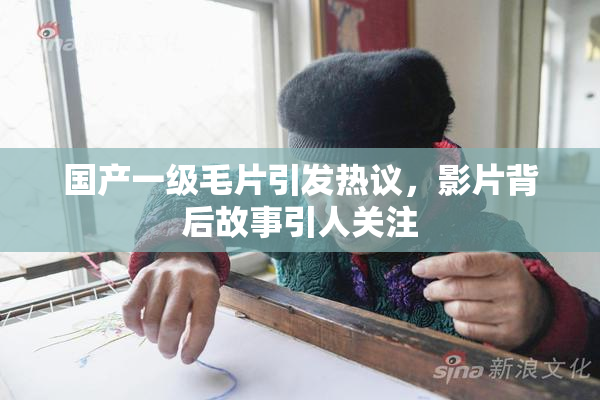 国产一级毛片引发热议，影片背后故事引人关注
