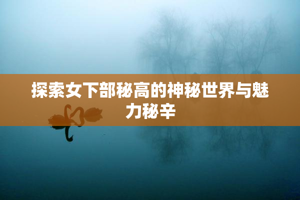 探索女下部秘高的神秘世界与魅力秘辛