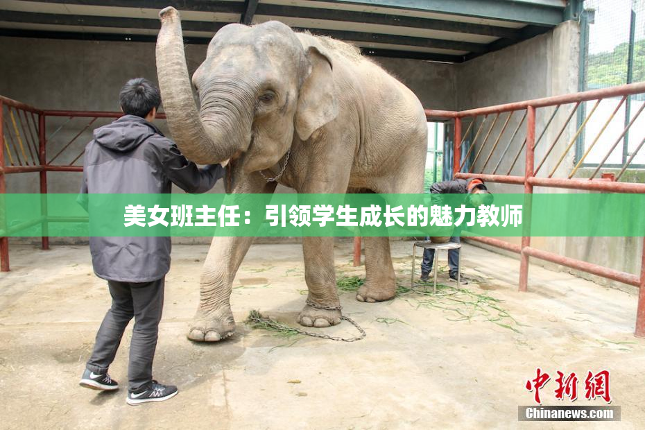 美女班主任：引领学生成长的魅力教师