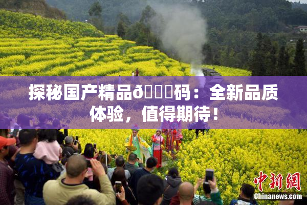探秘国产精品🈚码：全新品质体验，值得期待！