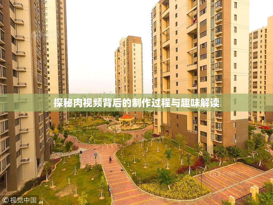 探秘肉视频背后的制作过程与趣味解读