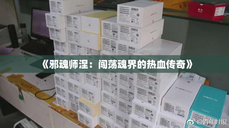 《邪魂师涅：闯荡魂界的热血传奇》