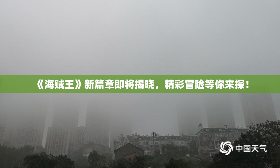 《海贼王》新篇章即将揭晓，精彩冒险等你来探！