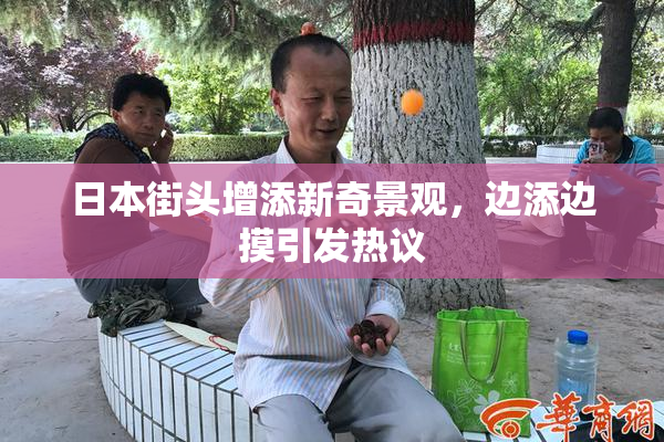 日本街头增添新奇景观，边添边摸引发热议